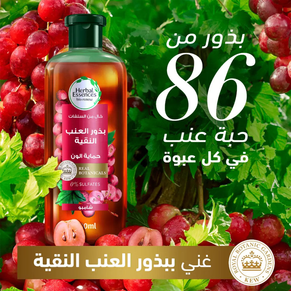 شامبو شعر بيو رنيو بذور العنب النقيه حمايه اللون من هيربل ايسنسز 400 مل