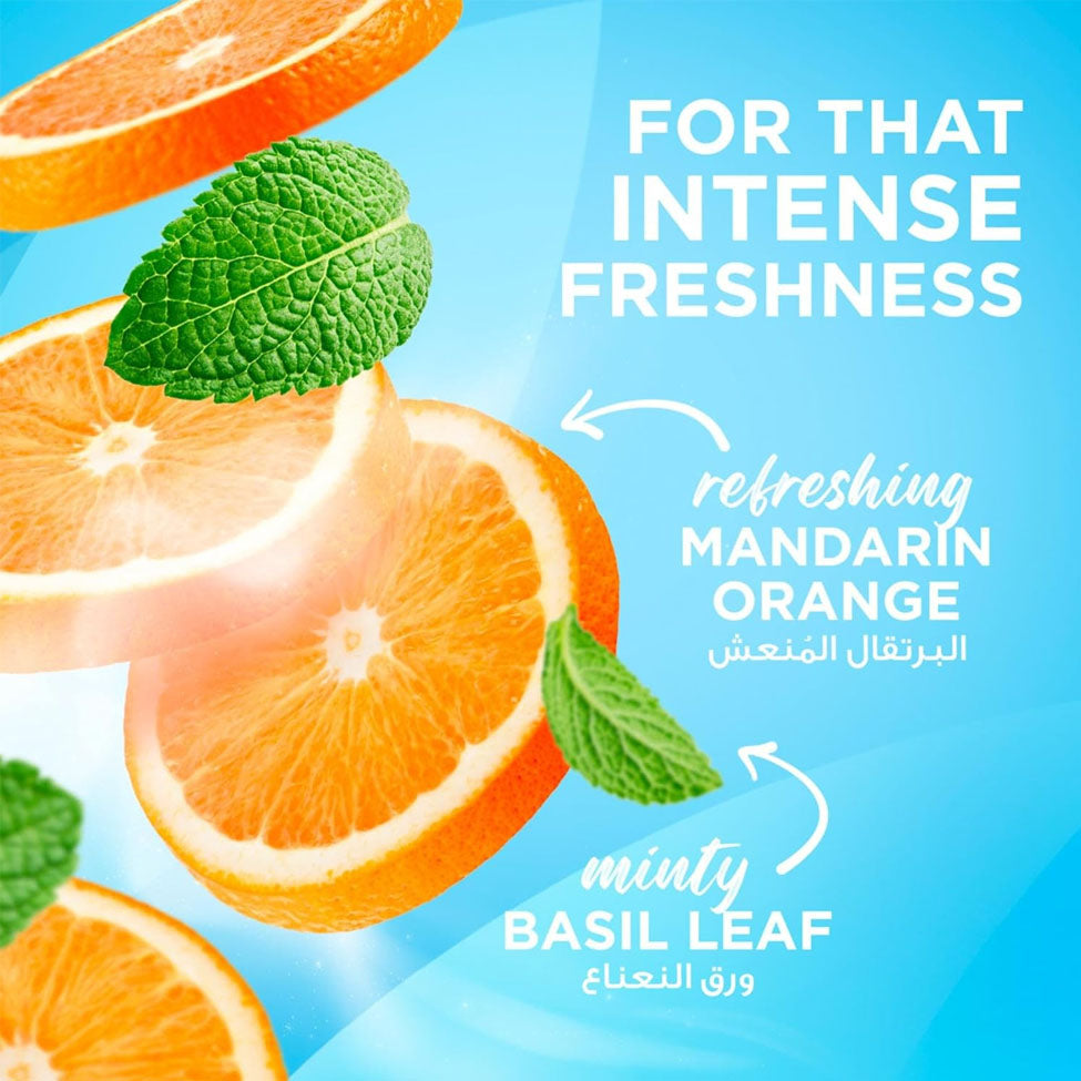معجون الأسنان كول فريش الليمون والنعناع 75 مل من كلوس اب