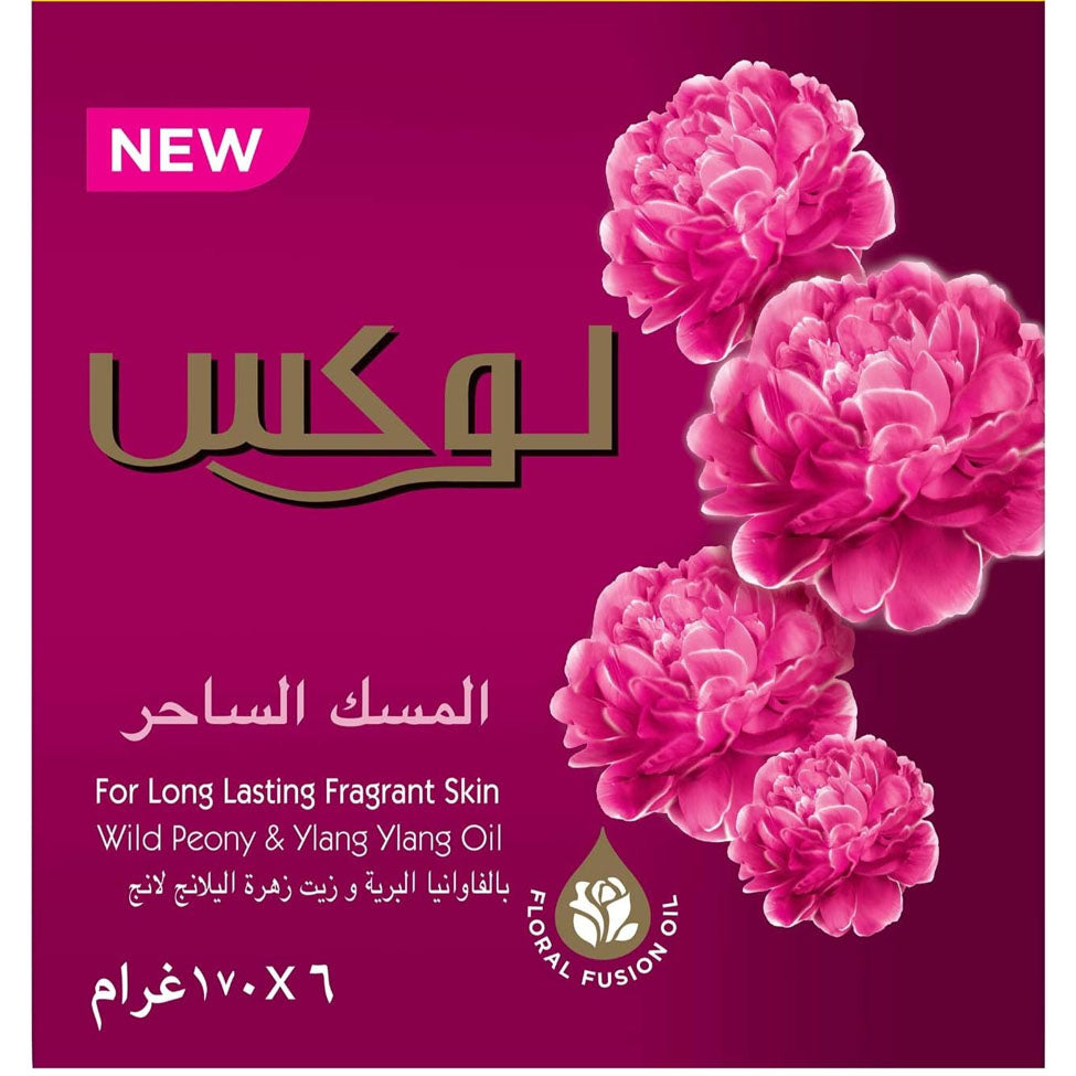 لوكس صابون قالب المسك الساحر 5+1 مجانا 170 جم