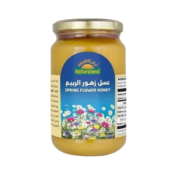 أرض الطبيعة عسل زهور الربيع 500 جم