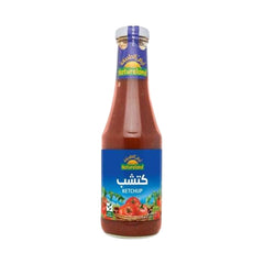أرض الطبيعة كاتشاب الطماطم 500 جم