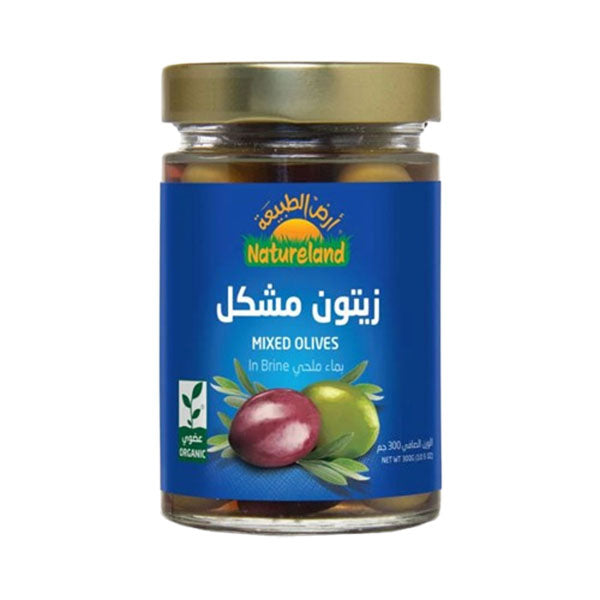 أرض الطبيعة زيتون مشكل بماء ملحي 300 جم