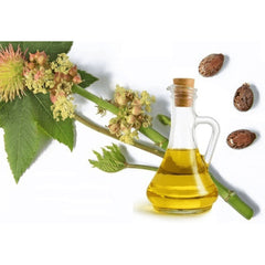 ناو قطرة زيت الأرغان العضوي 59 مل